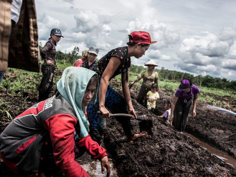 Community based options for water and fire management in Barito Selatan, Central Kalimantan