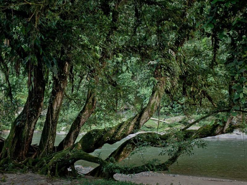 Communities, indigenous peoples and decision-makers, key players in Ecuador’s first summary of safeg