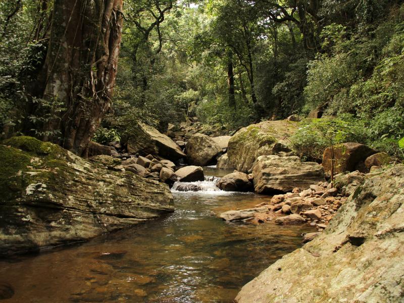 ZERO TO HERO! How Sri Lanka went from nothing on safeguards to SIS design in 6 months…