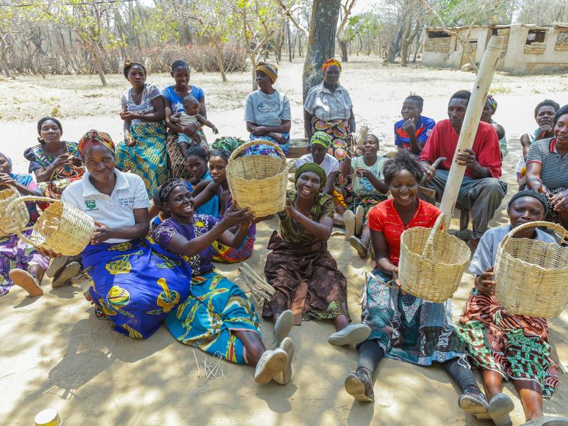  Zambia: How to Survive When Rain and Forests Dwindle