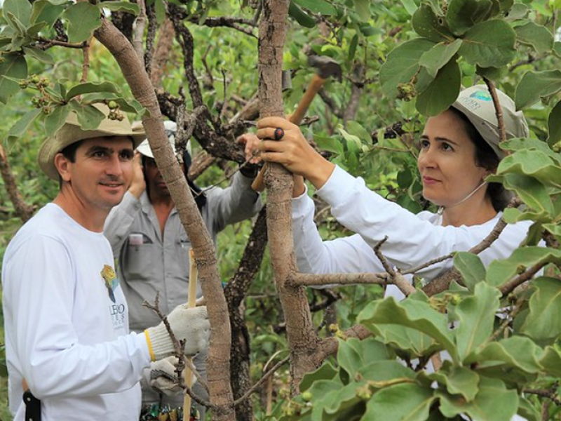 Gender at the forefront of National Forest Monitoring Systems