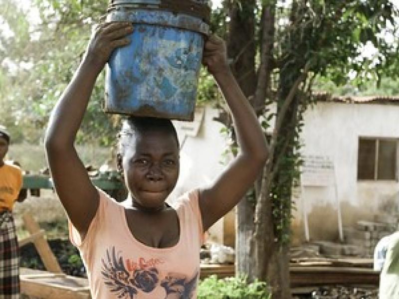 Collective Tenure Rights: Realising the potential for REDD+ and sustainable development