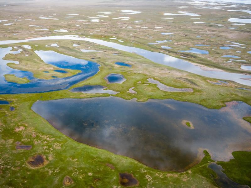 Peatlands under review in Peru