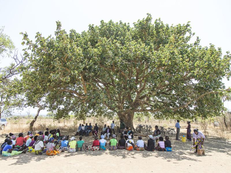 Indigenous voices, a policy spark to protect the world's forests