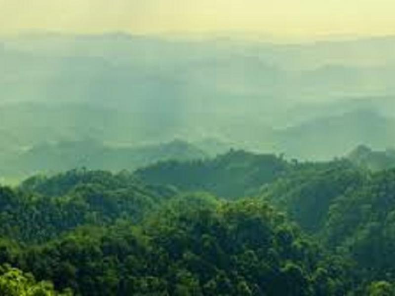 The degradation and loss of forests and biodiversity is a contributing factor to disrupting nature’s balance and increasing the risks of human epidemic diseases in general.