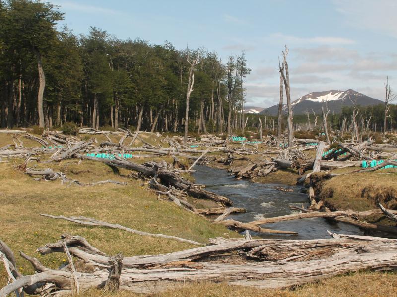 Chile launches Co-benefits system for its national strategy