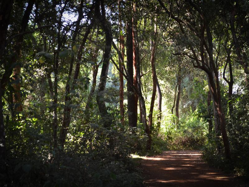 Updating IPCC Guidelines for National Greenhouse Gas Inventories