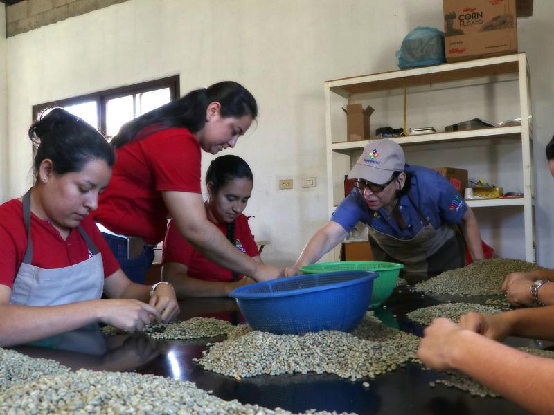 Bank clients, loan beneficiaries, selecting coffee