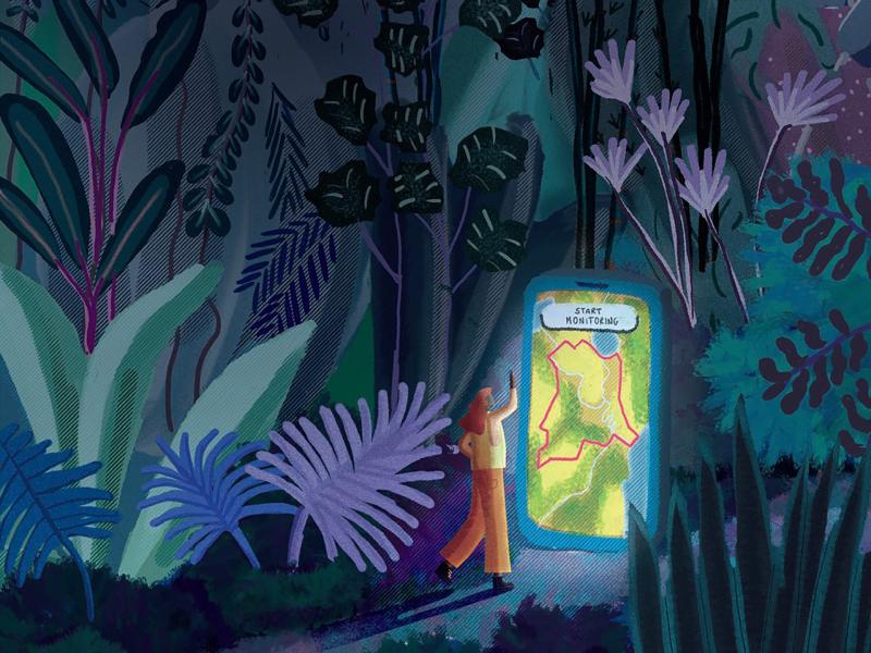 The institutionalisation of forest data for sustainable REDD+ actions