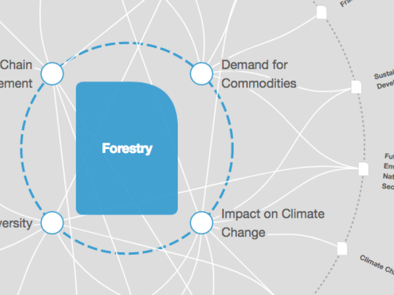 Could 2021 be a turning point for forests and climate change?