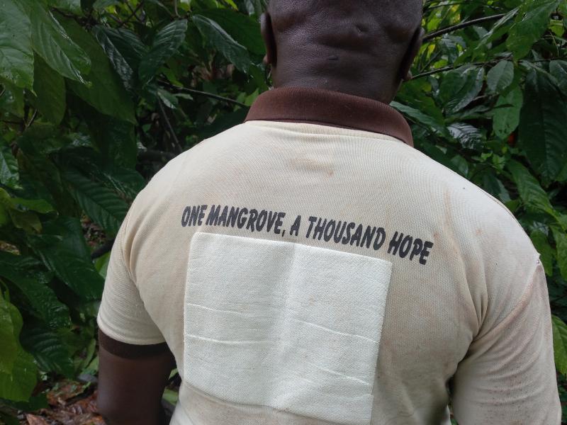 "One mangrove, a thousand hopes"- mangrove rehabilitation in Nigeria