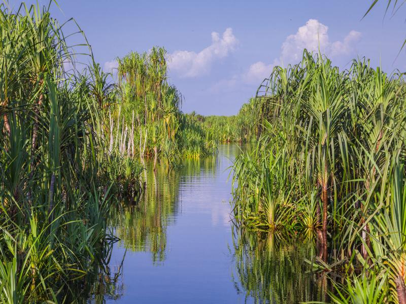 Indonesia receives Results-based Payments from the Green Climate Fund