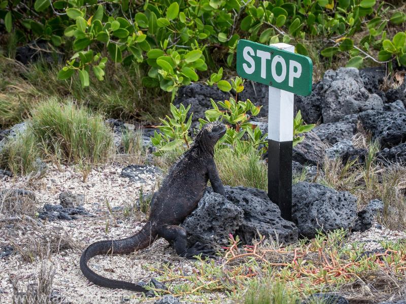 Now is the time to stop detrimental behavior and opt for clean choices 