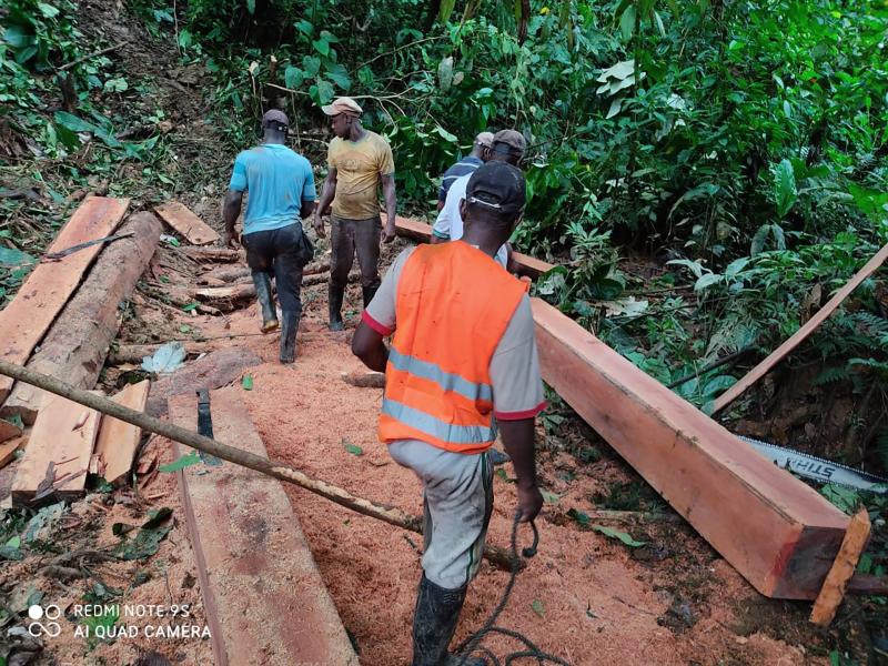 On-site processing of harvested wood