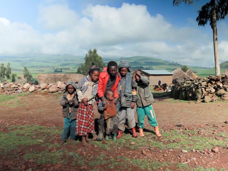 Bamboo in Ethiopia: can it help stimulate its economy while at the same time help achieve REDD+ obj