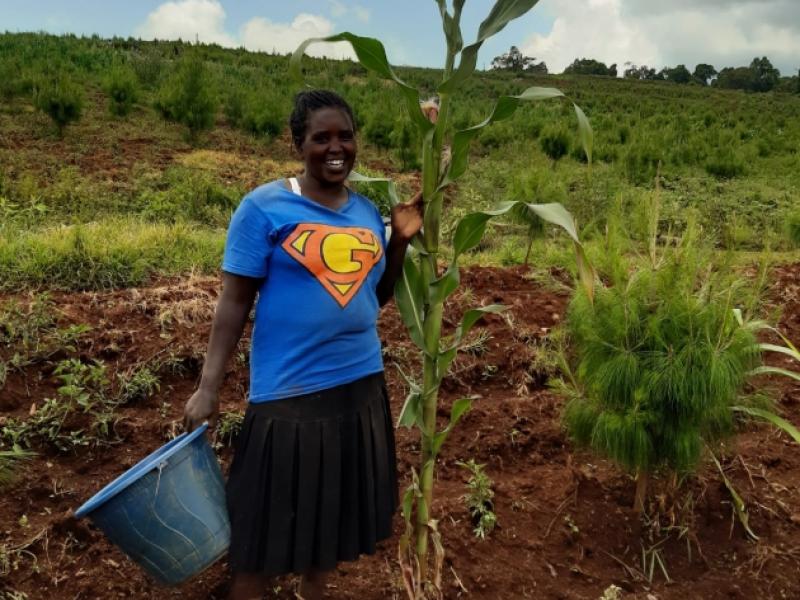 Purity Chelimo plants maize and puts trees in between