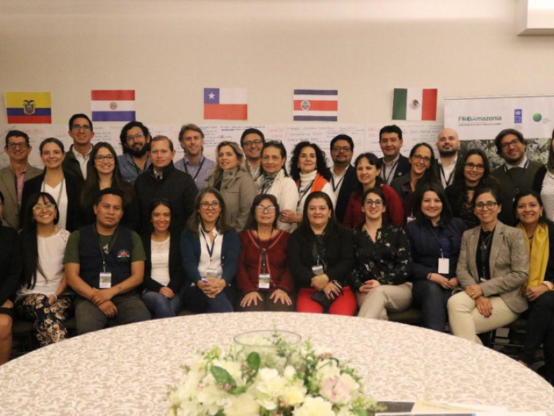 Learnings about Safeguards Information Systems in Latin America 