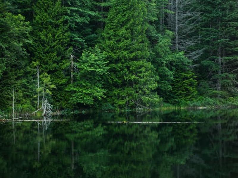 The next top employer to work for? Well, it’s nature