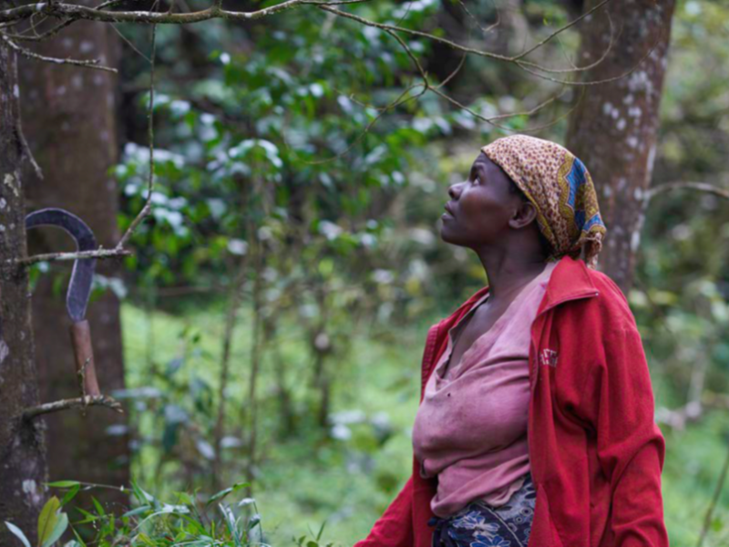 Making Secured Collective Tenure Rights a Reality in Nepal, Peru and Tanzania