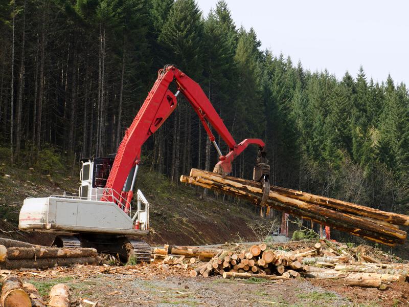 Understanding the Long-Term Impacts of Natural Resource Extraction