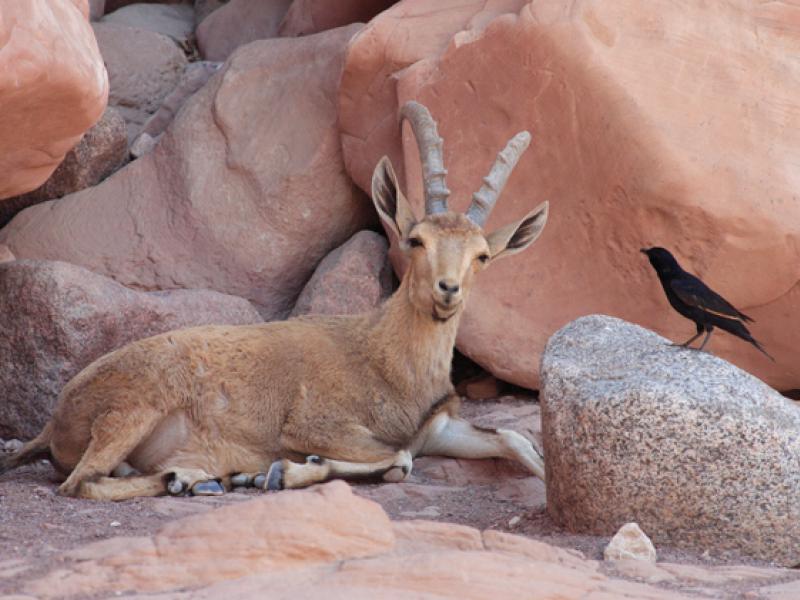 The 'invisible made visible' through economic valuation of forests in Ethiopia