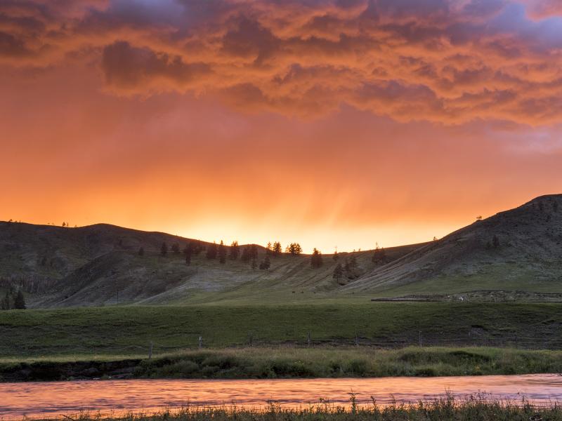 Mongolia, better forests depend on better livelihoods