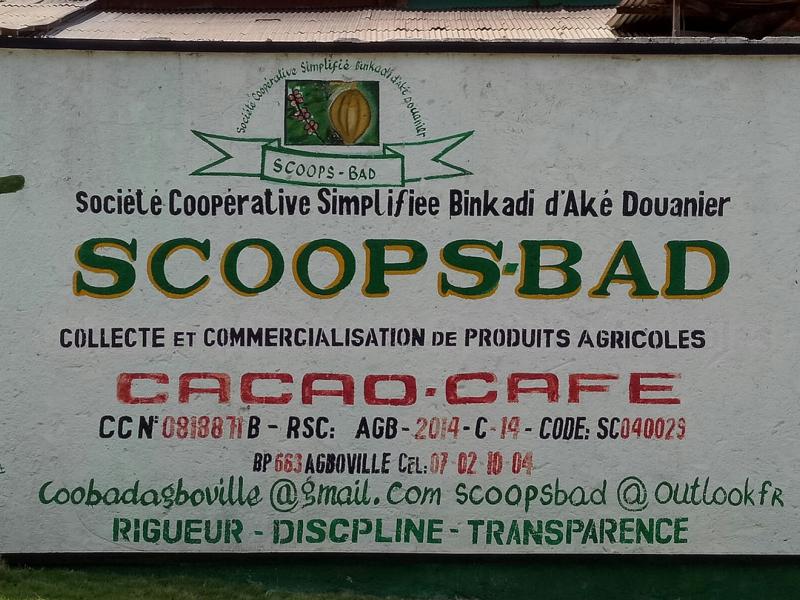 Forest friendly chocolate in Côte d’Ivoire