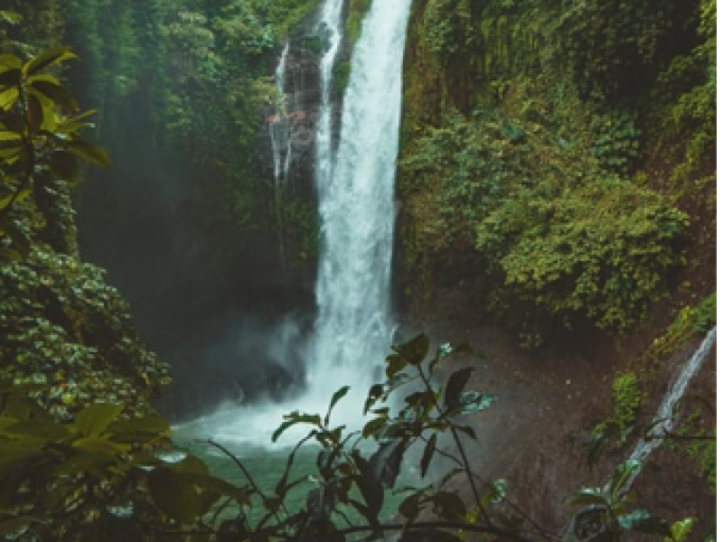 A renewed call to action to halt deforestation by 2030