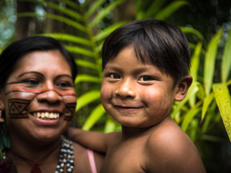 Gender: the key to unlocking transformational change in climate-forest finance