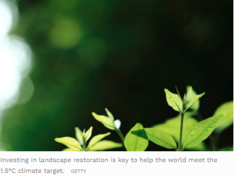 How Monitoring Can Spur Investment In Land Restoration