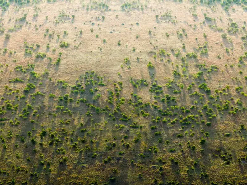 The Great Green Wall Initiative, which was launched by the AU in 2007, is aiming to restore 100 million hectares of degraded land across the Sahel in an 8,000 km-long strip, sequester 250 million tons of carbon, and create 10 million jobs in rural areas by 2030 [greatgreenwall.org] 