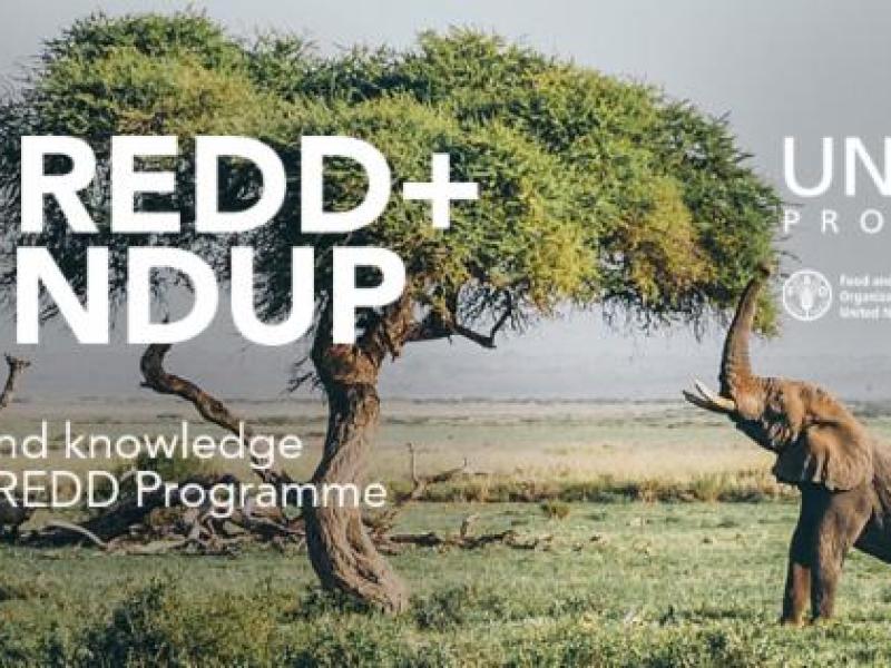 Roundup_header_Africa