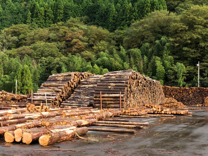 00-Article_A02-Hero Image.jpg