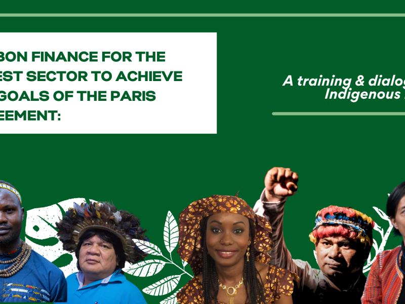 CMI blog graphic UNDP