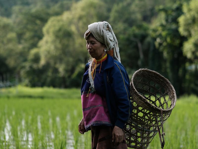 IP rights Photo 1' Credit: AIPP.