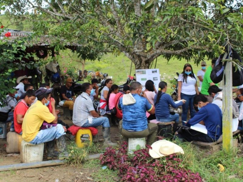 Ecoserrania - FAO project Colombia