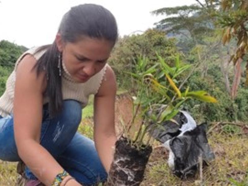 indigenous reservation