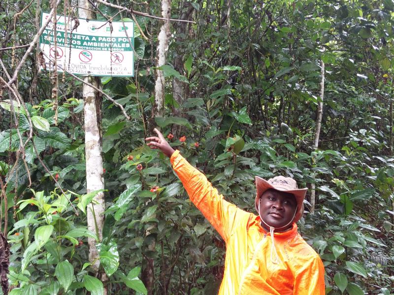 pic Costa Rica environmental services