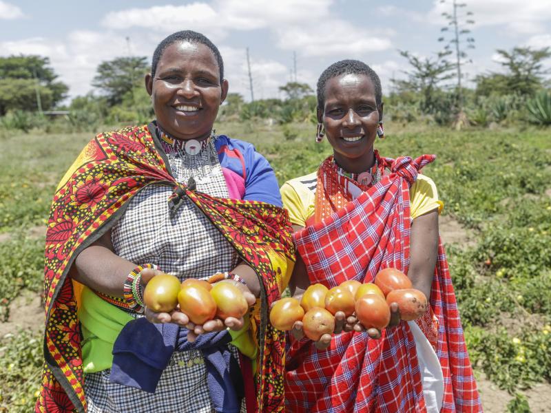 48858400547_944170b656_o