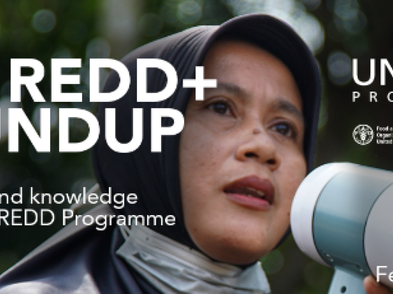 Edit Article Gender _ UNREDD Programme - Google Chrome 30_03_2023 11_13_11 (2).png