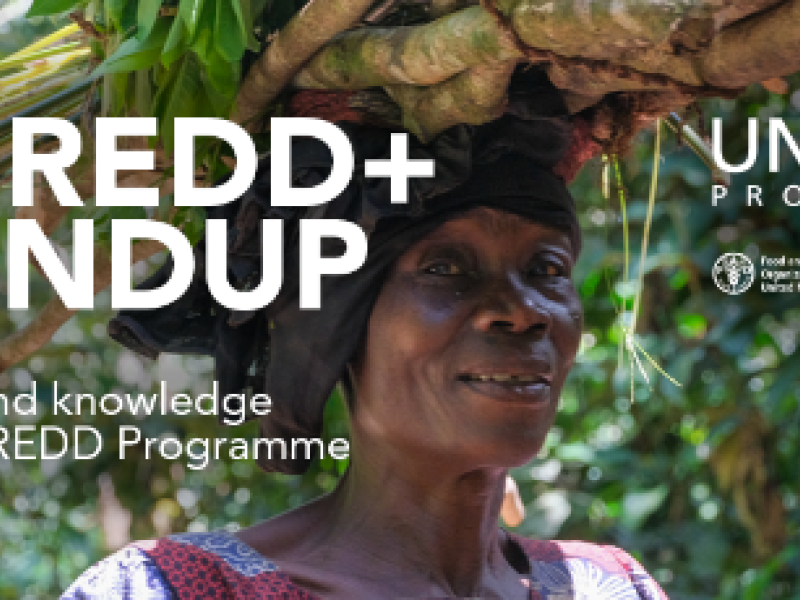 UN-REDD Round-Up for August, 2021_ Gender & REDD+ Updates - Google Chrome 30_03_2023 11_10_19 (2).png