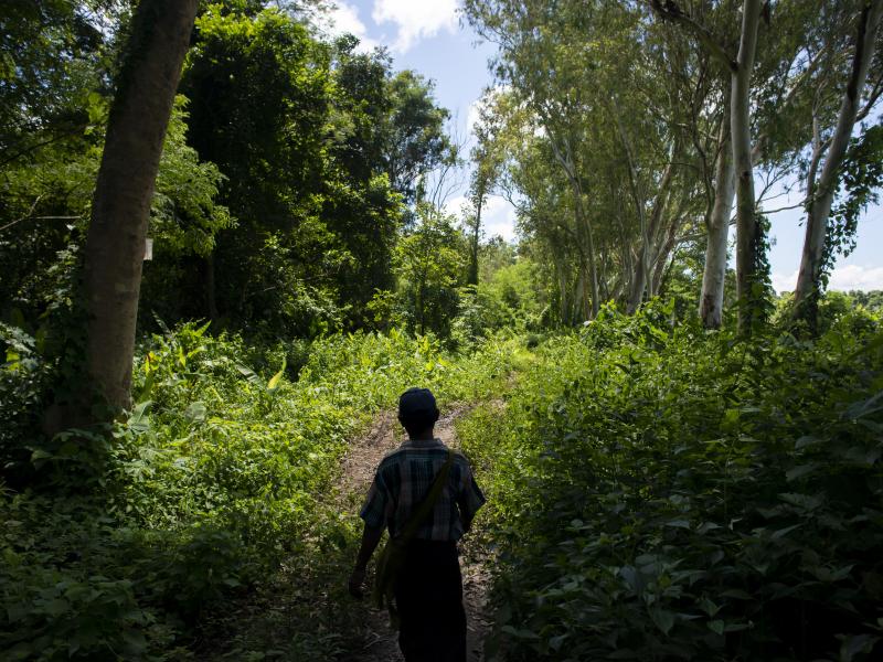 Man walking through the forest