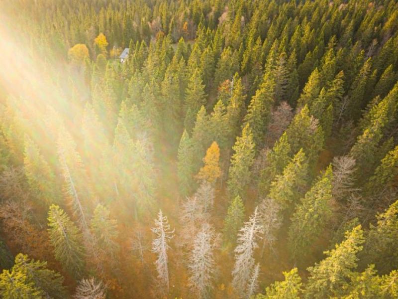 AFP/Valentin Flauraud